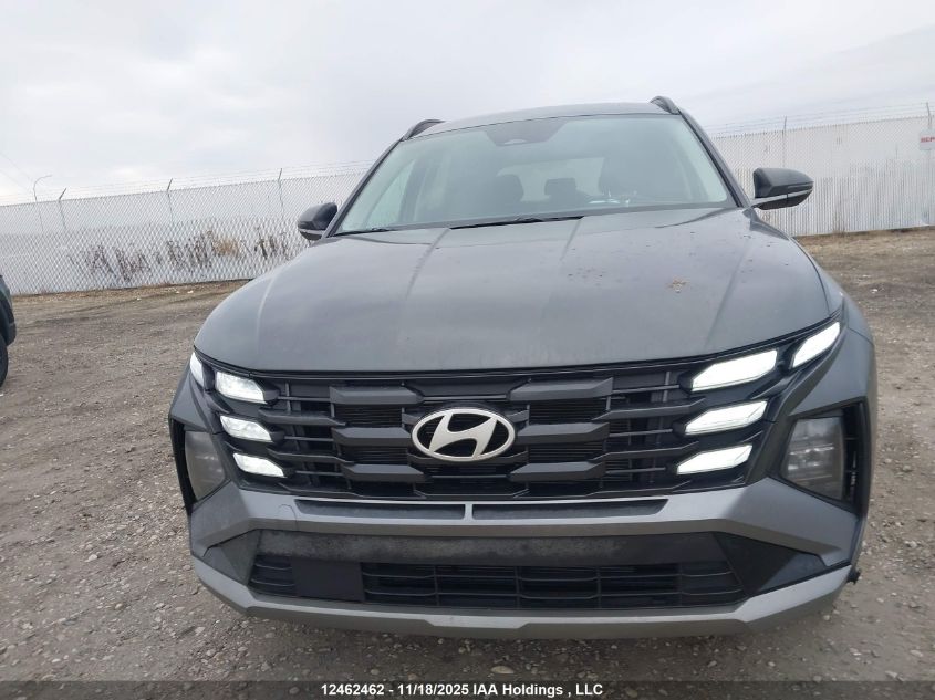 2025 Hyundai Tucson Sel VIN: KM8JBCDE3SU428917 Lot: 12462462