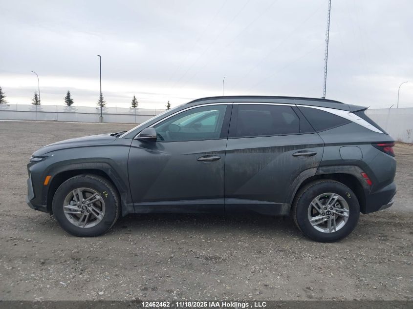 2025 Hyundai Tucson Sel VIN: KM8JBCDE3SU428917 Lot: 12462462