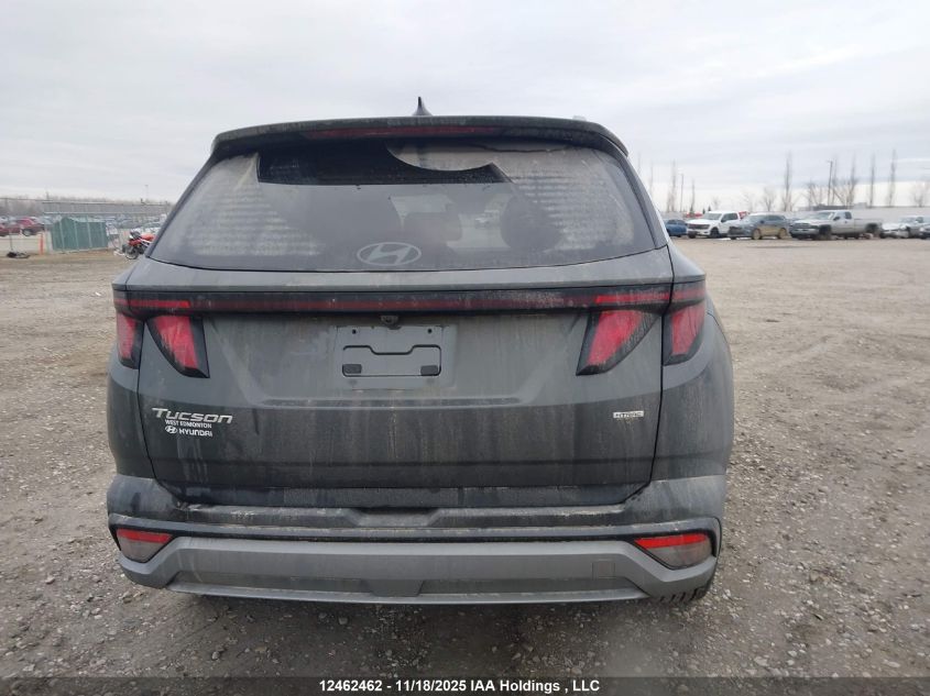2025 Hyundai Tucson Sel VIN: KM8JBCDE3SU428917 Lot: 12462462
