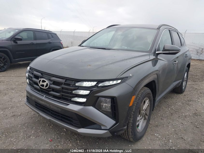 2025 Hyundai Tucson Sel VIN: KM8JBCDE3SU428917 Lot: 12462462