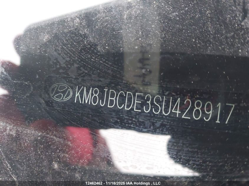 2025 Hyundai Tucson Sel VIN: KM8JBCDE3SU428917 Lot: 12462462