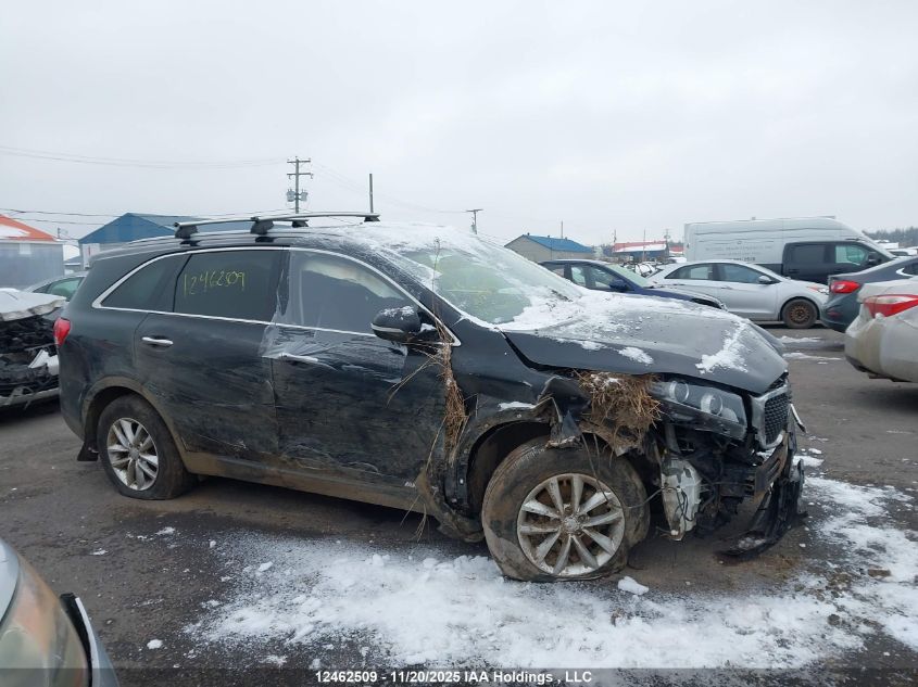 2018 Kia Sorento 3.3L Lx VIN: 5XYPGDA53JG369572 Lot: 12462509