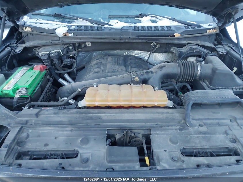 1FTEW1EG0FFB52169 2015 FORD F-150 photo no. 10