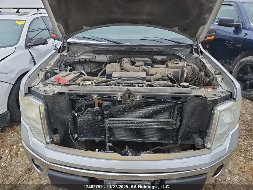 2009 Ford F-150 Fx4/King Ranch/Lariat/Platinum Package/Xlt VIN: 1FTPW14V59FB45506 Lot: 12462752