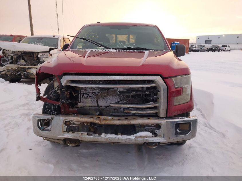 2016 Ford F-150 Xlt VIN: 1FTFW1EF9GFC63204 Lot: 12462785