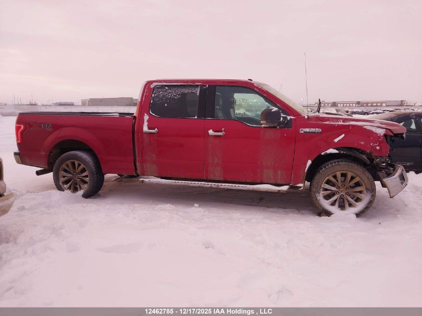 2016 Ford F-150 Xlt VIN: 1FTFW1EF9GFC63204 Lot: 12462785
