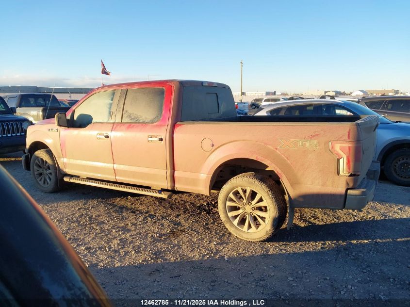 2016 Ford F-150 Xlt VIN: 1FTFW1EF9GFC63204 Lot: 12462785