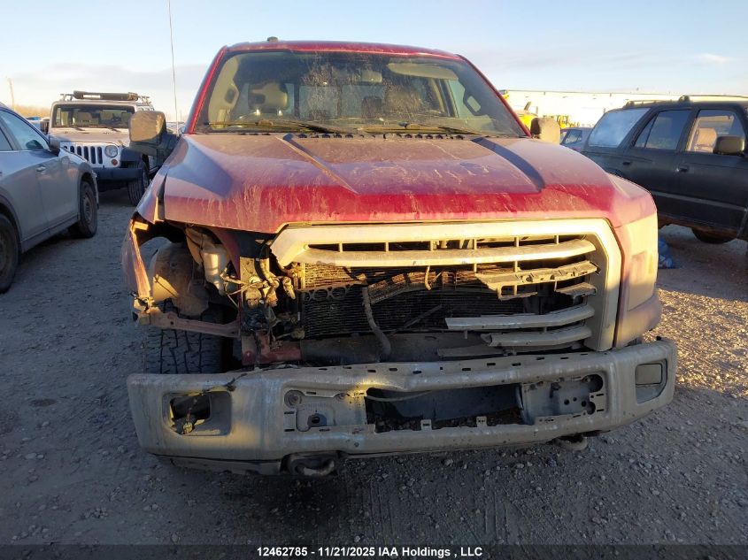 2016 Ford F-150 Xlt VIN: 1FTFW1EF9GFC63204 Lot: 12462785