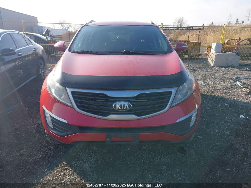 2013 Kia Sportage Lx VIN: KNDPB3A23D7446862 Lot: 12462787