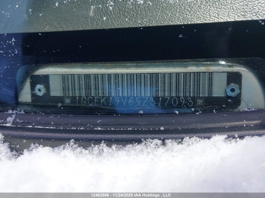 2005 Chevrolet Silverado K1500 VIN: 1GCEK19V65Z317093 Lot: 12462866