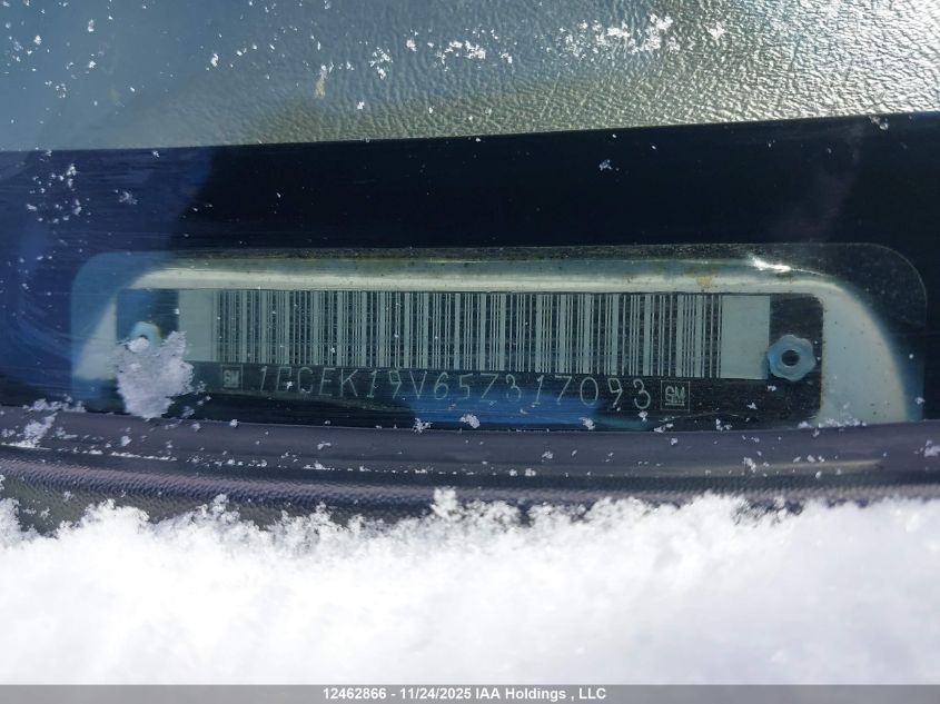 2005 Chevrolet Silverado K1500 VIN: 1GCEK19V65Z317093 Lot: 12462866