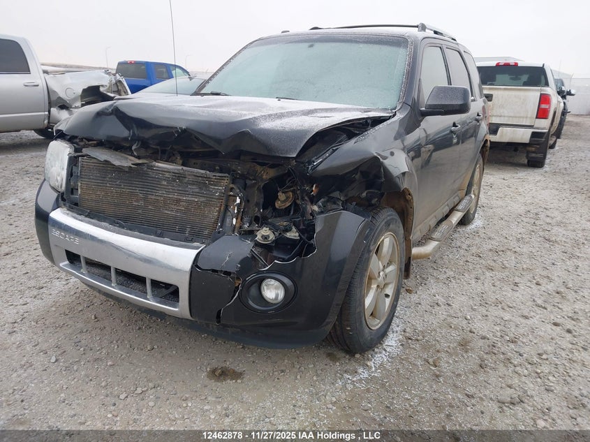 2011 Ford Escape Limited VIN: 1FMCU9EG9BKC44289 Lot: 12462878