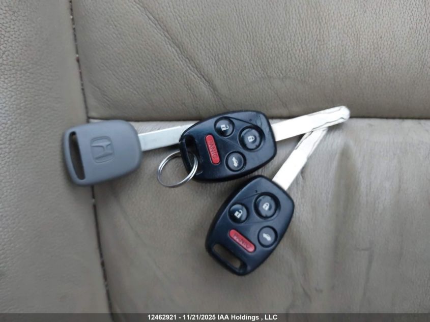 2009 Honda Accord Exl VIN: 1HGCP26829A802091 Lot: 12462921