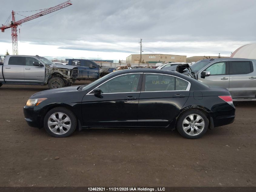 2009 Honda Accord Exl VIN: 1HGCP26829A802091 Lot: 12462921