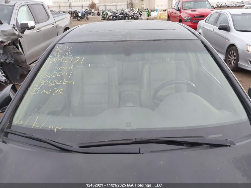 2009 Honda Accord Exl VIN: 1HGCP26829A802091 Lot: 12462921