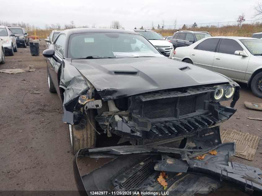 2017 Dodge Challenger Sxt VIN: 2C3CDZAG4HH624316 Lot: 12462977