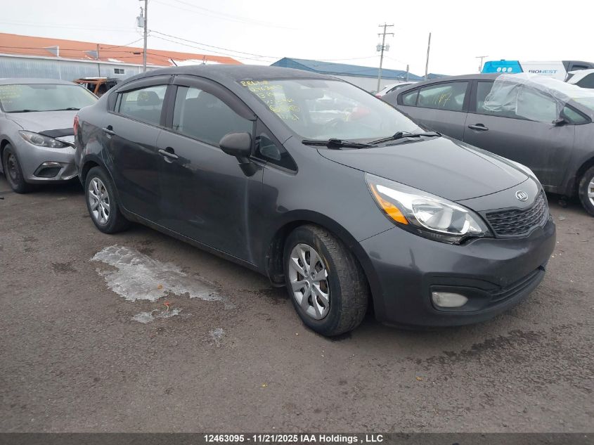 KIA RIO