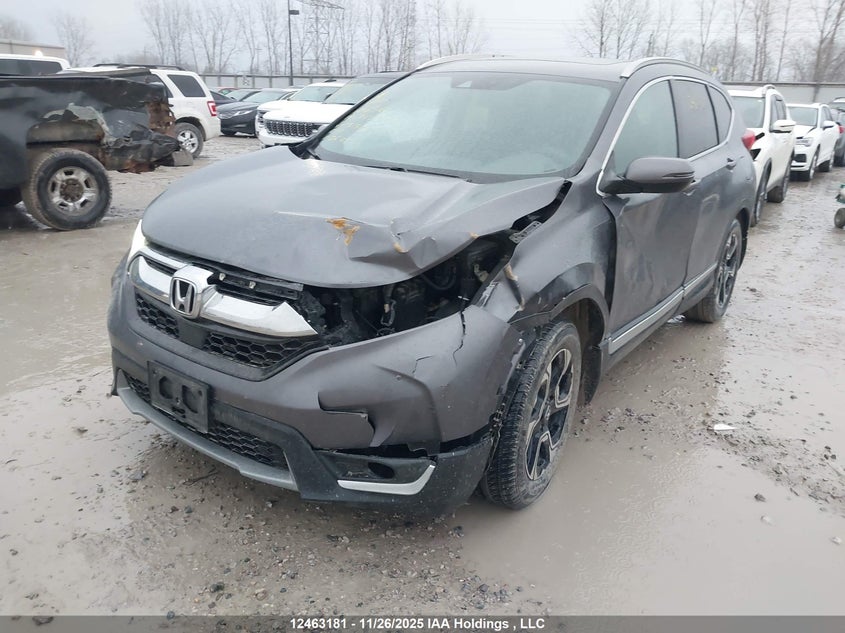 2019 Honda Cr-V Touring VIN: 2HKRW2H99KH131308 Lot: 12463181