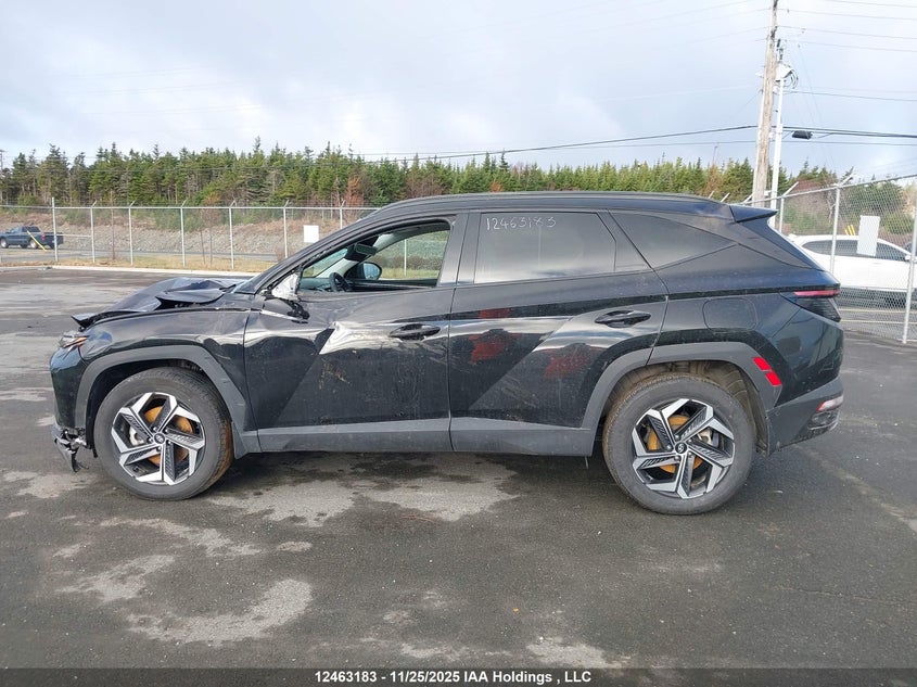 KM8JDDD2XRU175403 2024 HYUNDAI TUCSON photo no. 14
