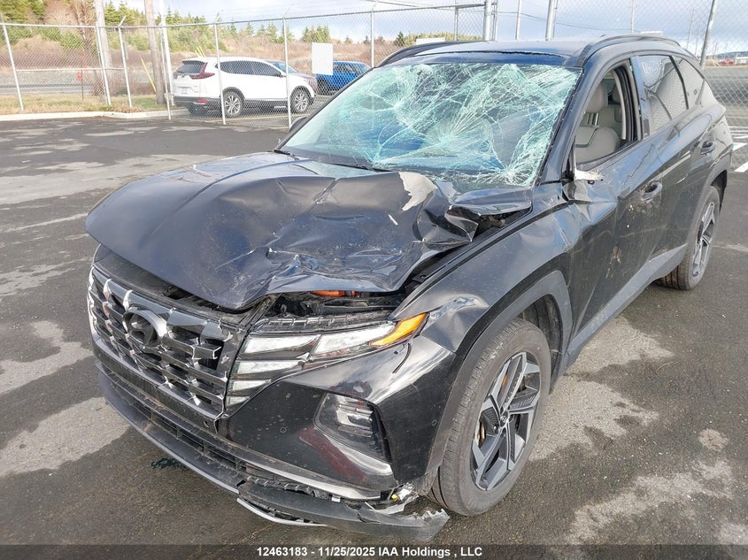 KM8JDDD2XRU175403 2024 HYUNDAI TUCSON photo no. 6