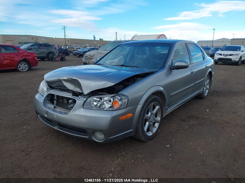 JN1DA31A93T427030 2003 NISSAN MAXIMA photo no. 2