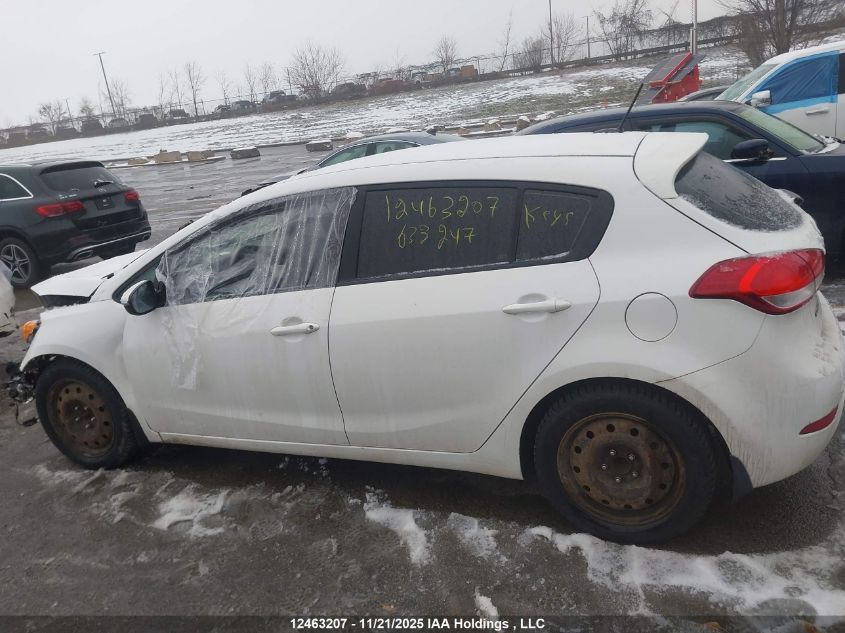 2016 Kia Forte 2.0L Ex/2.0L Lx+ VIN: KNAFK5A82G5623247 Lot: 12463207