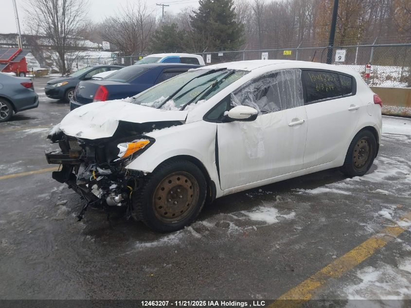 2016 Kia Forte 2.0L Ex/2.0L Lx+ VIN: KNAFK5A82G5623247 Lot: 12463207