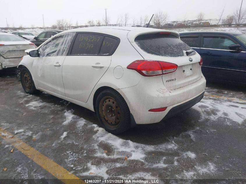 2016 Kia Forte 2.0L Ex/2.0L Lx+ VIN: KNAFK5A82G5623247 Lot: 12463207