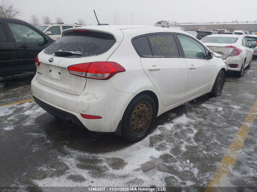 2016 Kia Forte 2.0L Ex/2.0L Lx+ VIN: KNAFK5A82G5623247 Lot: 12463207