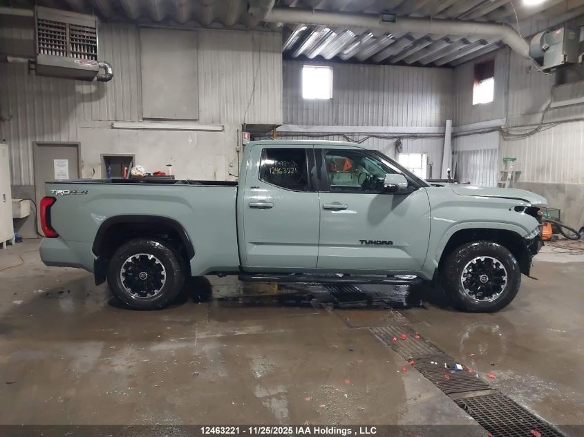 2024 Toyota Tundra Double Cab Sr/Double Cab Sr5 VIN: 5TFLA5DA8RX182786 Lot: 12463221