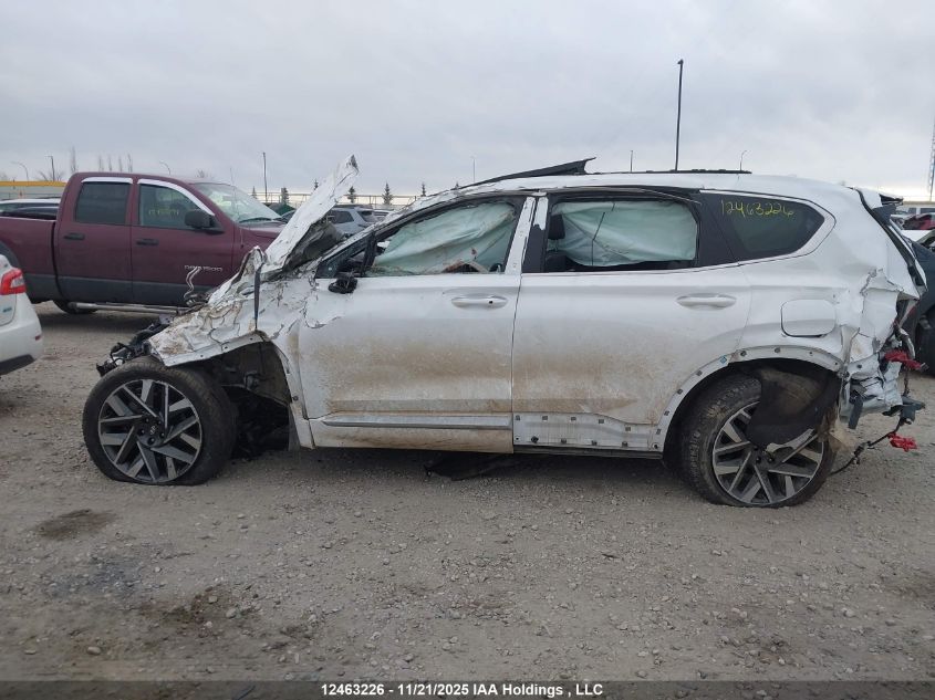 2023 Hyundai Santa Fe Ultimate Calligraphy VIN: 5NMS5DAL4PH614148 Lot: 12463226