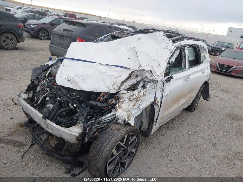 2023 Hyundai Santa Fe Ultimate Calligraphy VIN: 5NMS5DAL4PH614148 Lot: 12463226