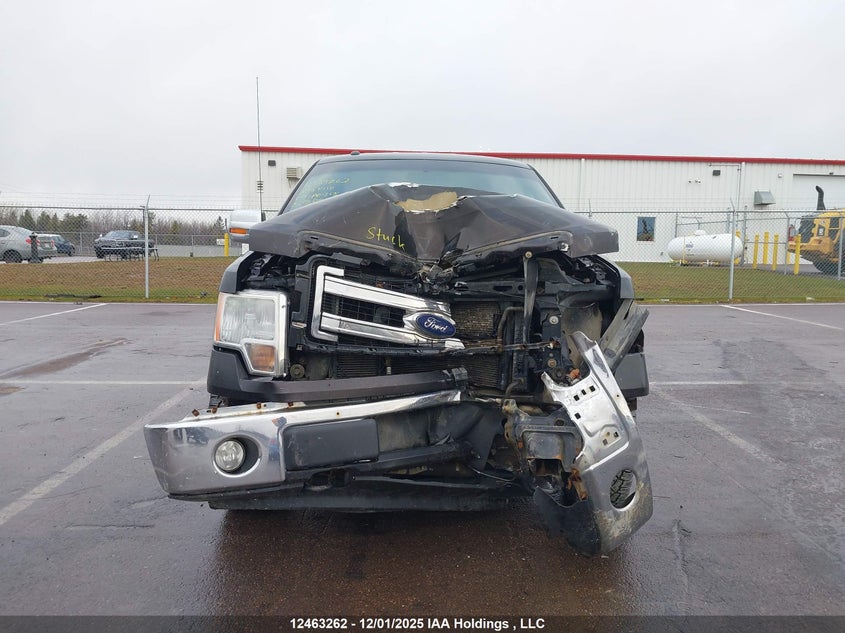 1FTFW1EF8EFA01848 2014 FORD F-150 photo no. 13