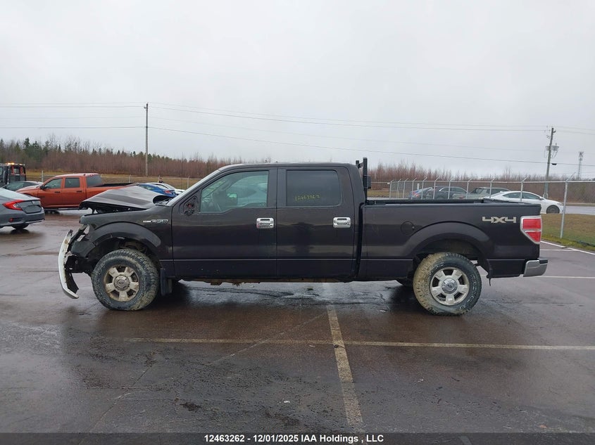 1FTFW1EF8EFA01848 2014 FORD F-150 photo no. 15