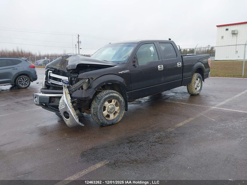 1FTFW1EF8EFA01848 2014 FORD F-150 photo no. 2
