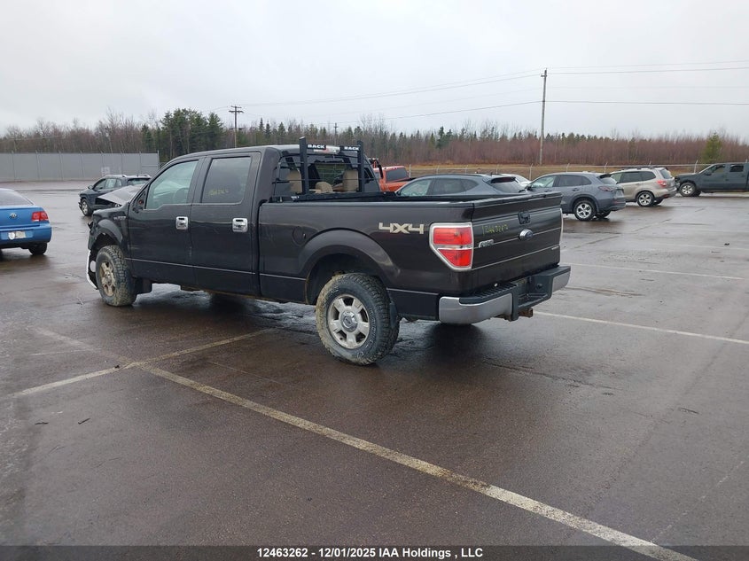 1FTFW1EF8EFA01848 2014 FORD F-150 photo no. 3
