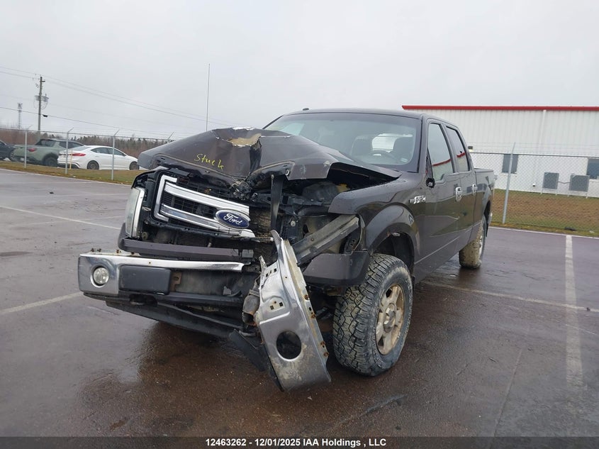 1FTFW1EF8EFA01848 2014 FORD F-150 photo no. 6