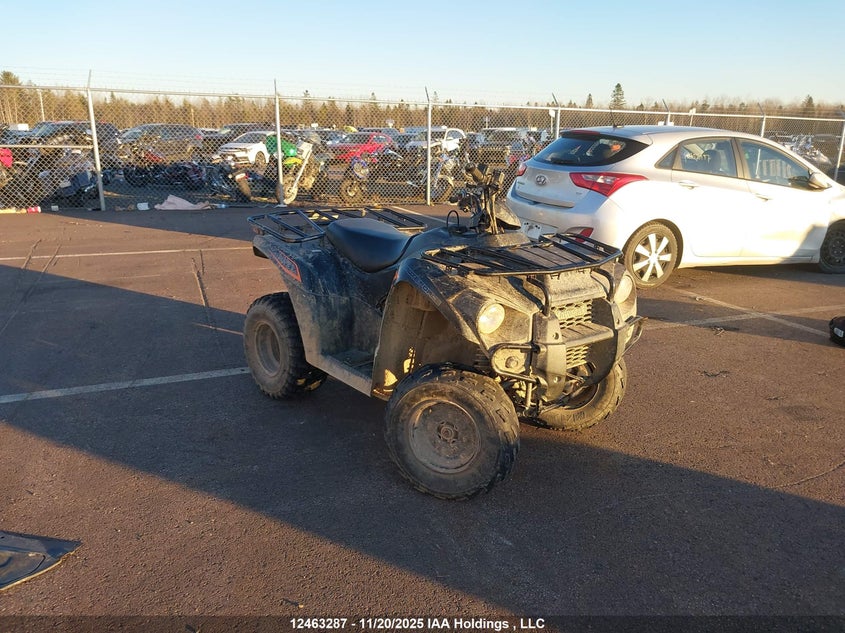 2018 Kawasaki Kvf300 VIN: RGSWM22A0JBC30247 Lot: 12463287