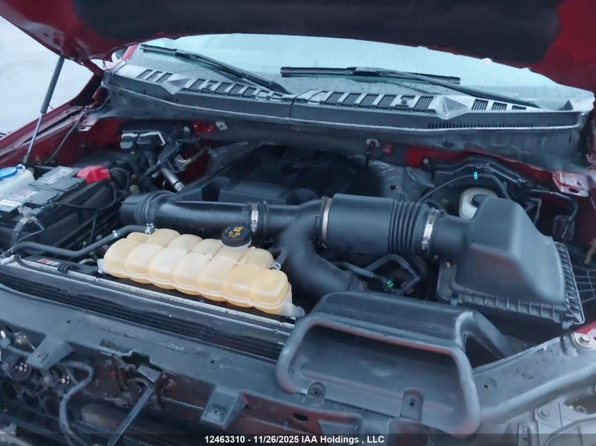 2017 Ford F-150 Xlt VIN: 1FTFW1EGXHFC39262 Lot: 12463310