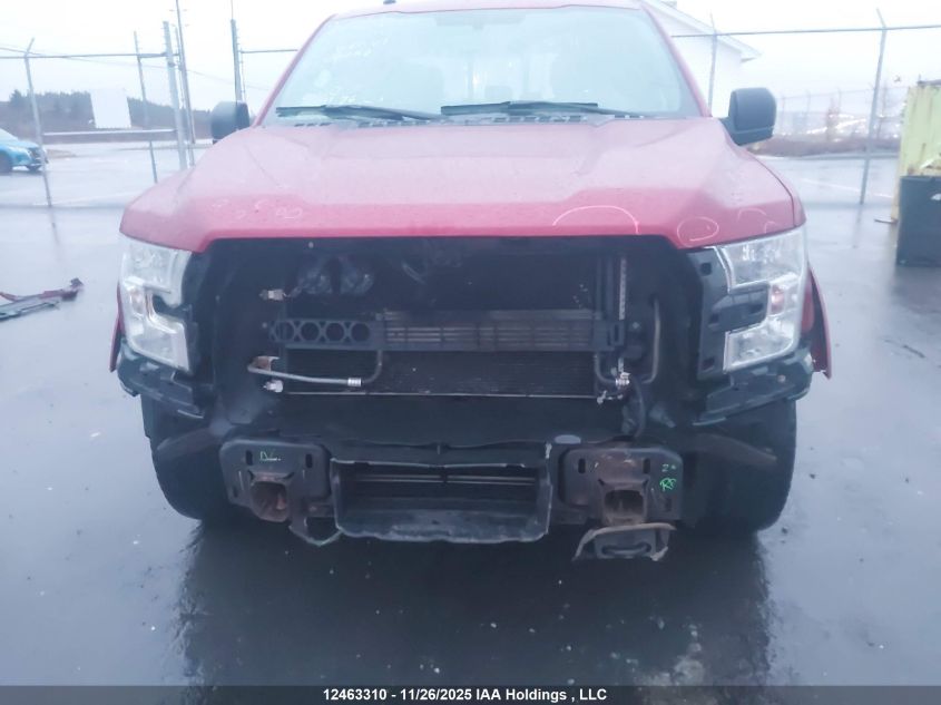 2017 Ford F-150 Xlt VIN: 1FTFW1EGXHFC39262 Lot: 12463310