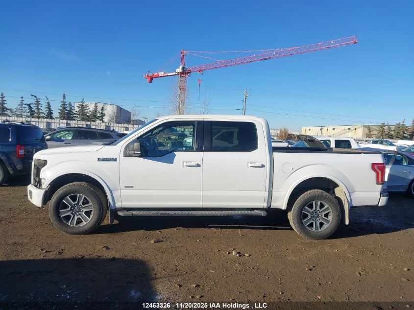 2016 Ford F-150 Xlt VIN: 1FTEW1EG1GFA00516 Lot: 12463326