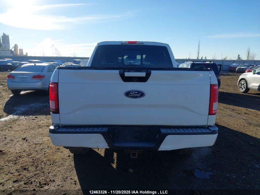 2016 Ford F-150 Xlt VIN: 1FTEW1EG1GFA00516 Lot: 12463326