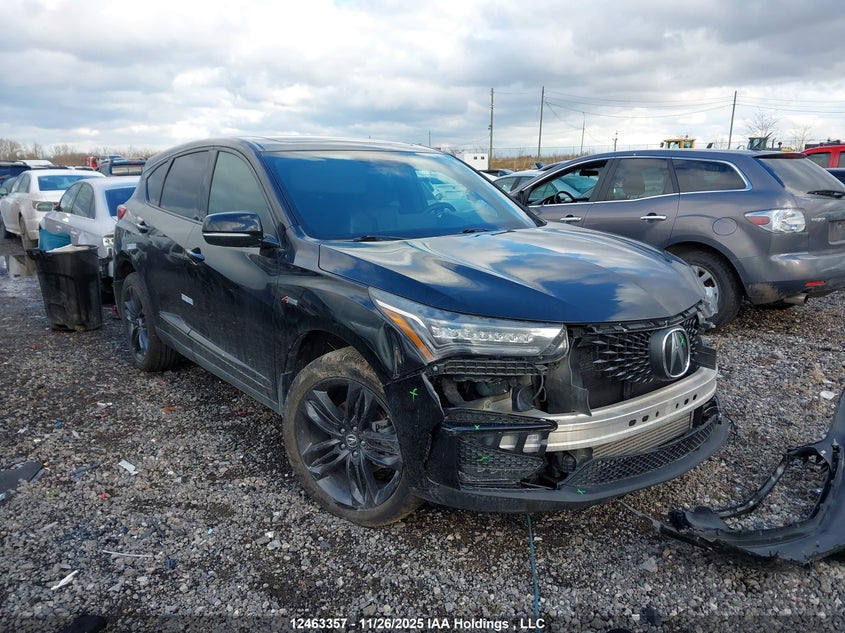 5J8TC2H6XKL806486 2019 Acura Rdx auction photo 1
