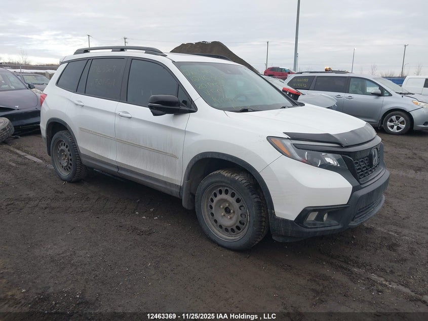 5FNYF8H23LB501721 HONDA PASSPORT Photo 1