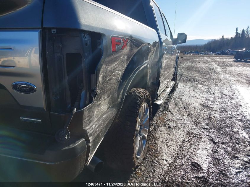 2019 Ford F-150 Platinum VIN: 1FTEW1E47KFB53948 Lot: 12463471