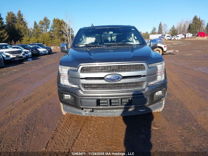 2019 Ford F-150 Platinum VIN: 1FTEW1E47KFB53948 Lot: 12463471