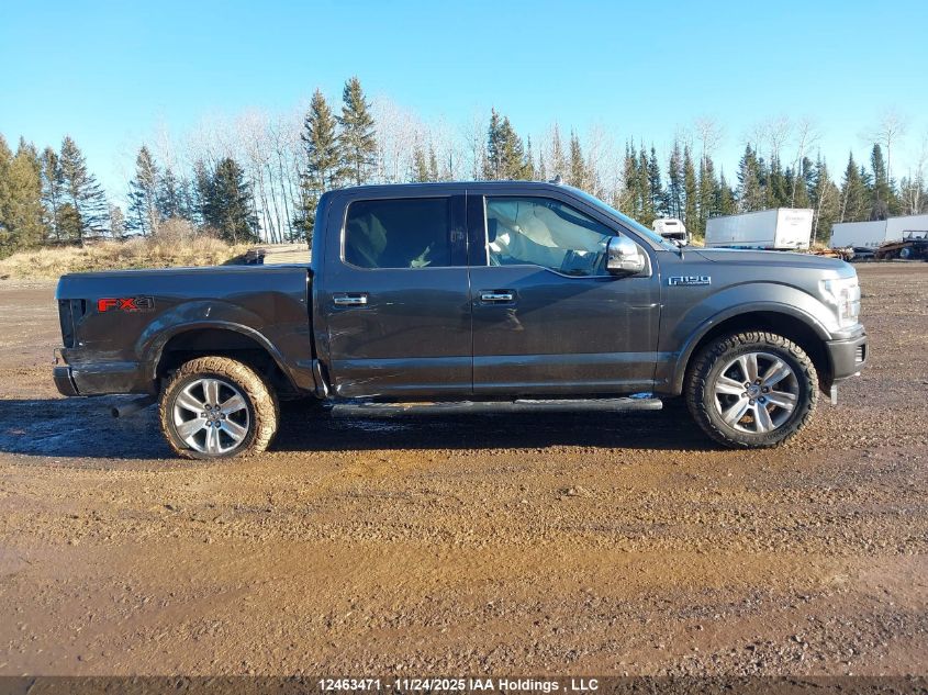 2019 Ford F-150 Platinum VIN: 1FTEW1E47KFB53948 Lot: 12463471