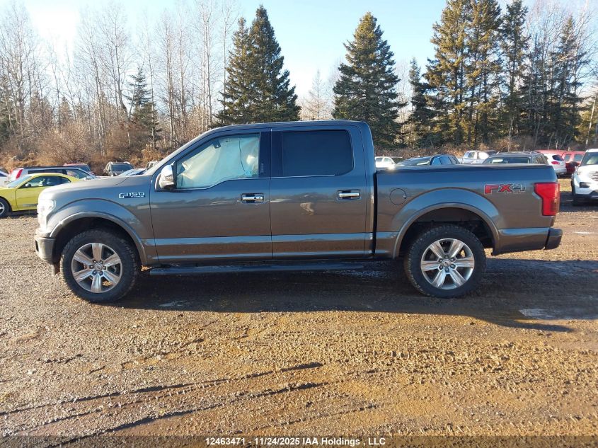 2019 Ford F-150 Platinum VIN: 1FTEW1E47KFB53948 Lot: 12463471