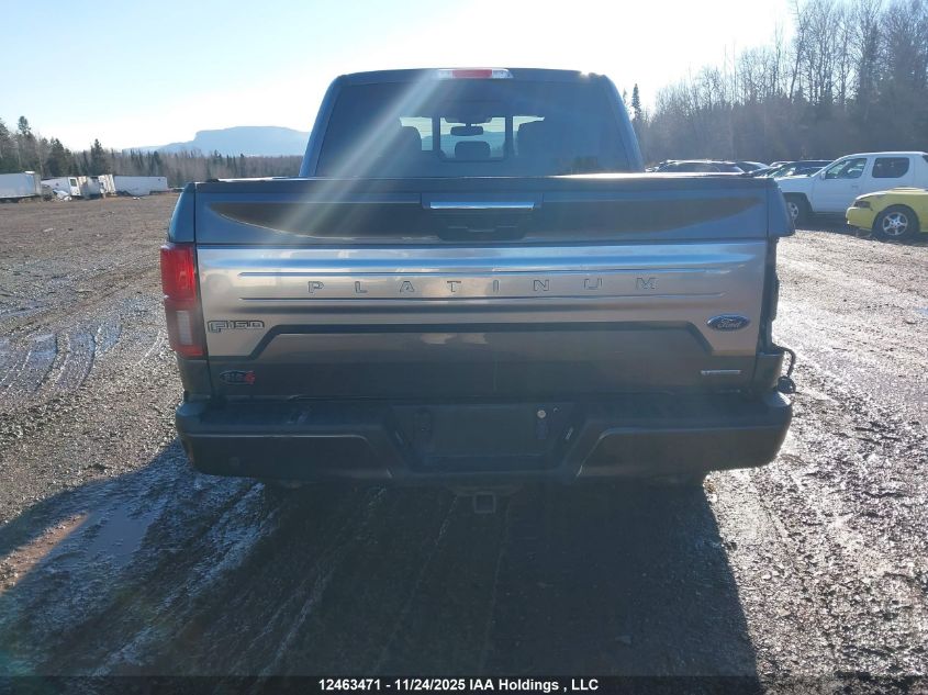 2019 Ford F-150 Platinum VIN: 1FTEW1E47KFB53948 Lot: 12463471