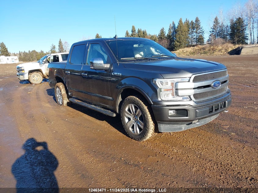 1FTEW1E47KFB53948 2019 FORD F-150 photo no. 13